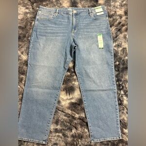 Terra & Sky Women's Skinny Jeans in Light Blue